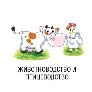 Животноводство и птицеводство