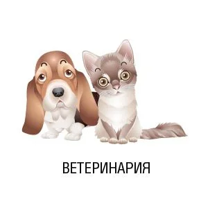 Животноводство и птицеводство