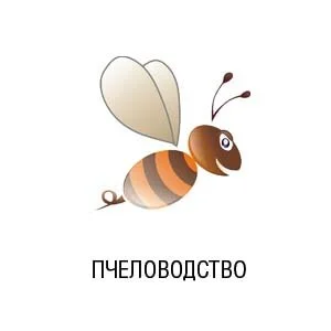 Пчеловодство